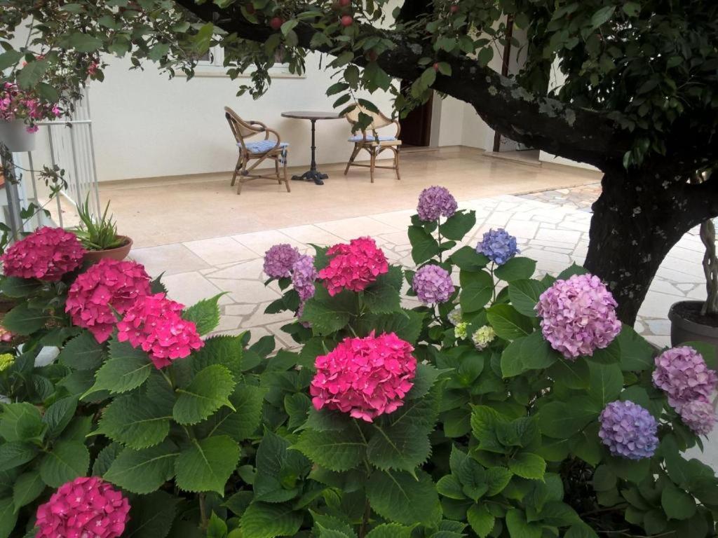 Apartmani Frlan Ii. Kastav Bagian luar foto