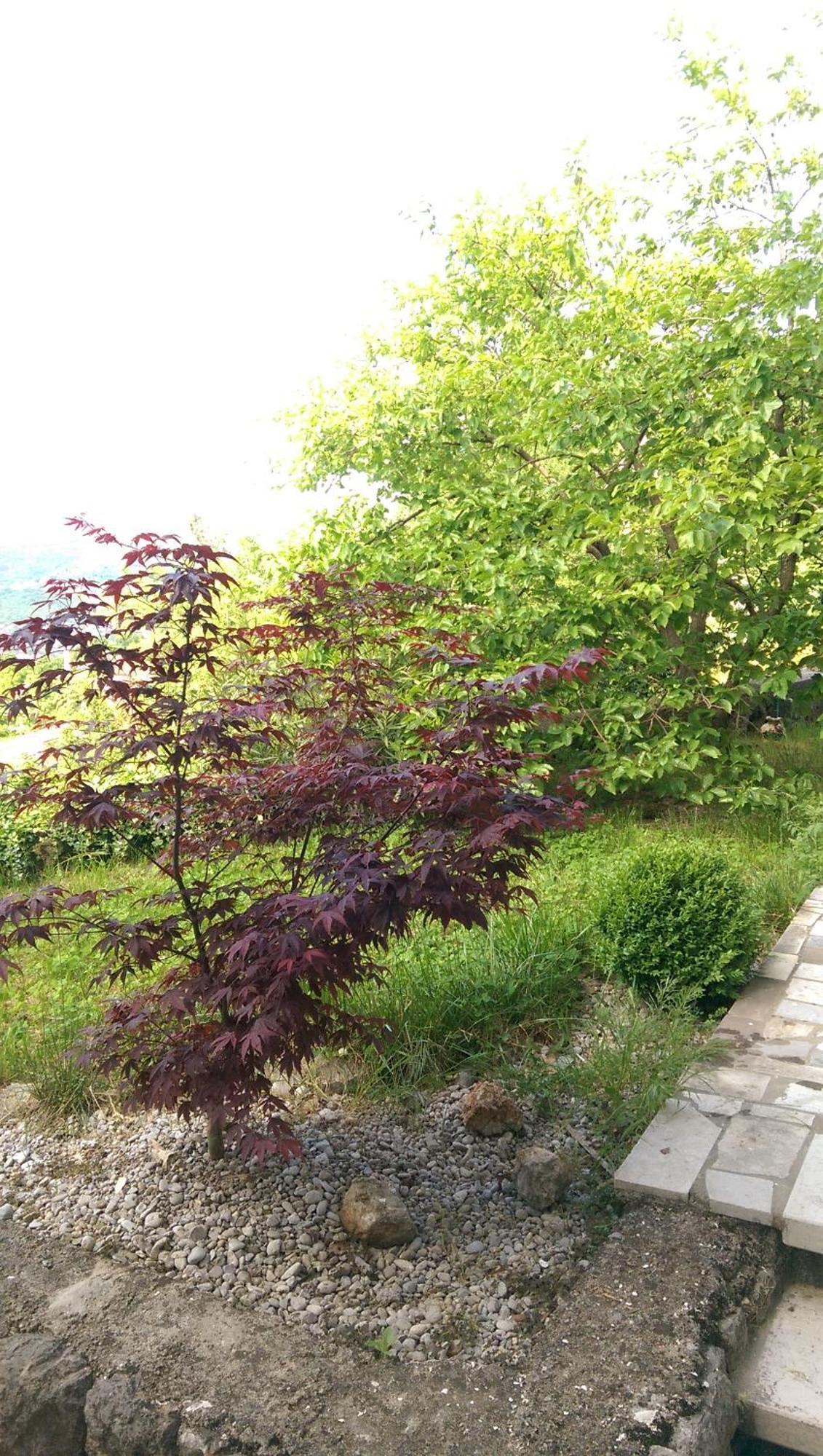 Apartmani Frlan Ii. Kastav Bagian luar foto